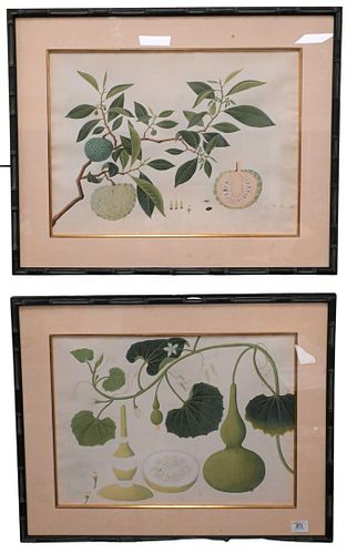 PAIR OF CHINESE BOTANICAL WATERCOLORSPair 3768d6