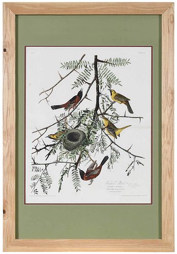 JOHN JAMES AUDUBON New York 1785 1851 Orchard 376a2e