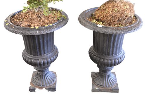 PAIR OF VICTORIAN STYLE IRON URNS