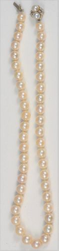 PEARL SINGLE STRING NECKLACE GRADUATED 37ab59