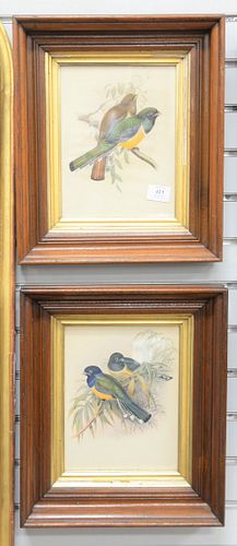 GROUP OF FOUR PRINTS TWO FLORAL 37af4c