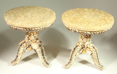 PAIR OF CONTEMPORARY TROPICAL SHELL 37c584