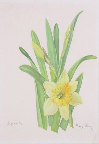 MARY GRAY WATERCOLOR ON PAPER "DAFFODILS",