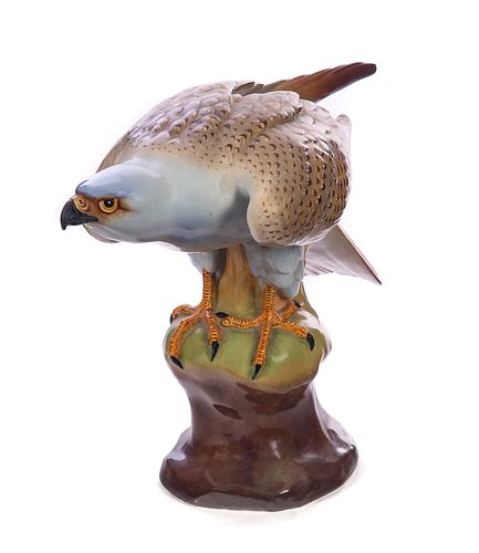 FRAUREUTH KUNSTABTELLUNG PORCELAIN HAWK