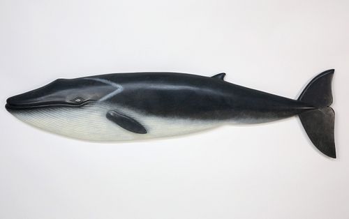 CARVED AND PAINTED FINBACK WHALE