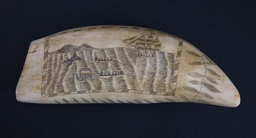 LARGE SCRIMSHAW ANTIQUE SPERM WHALE 37ce70