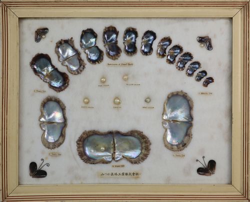 VINTAGE FRAMED AND MOUNTED "SPECIMEN