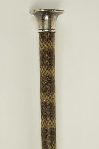 LADY'S SILVER CAPPED WALKING STICK,
