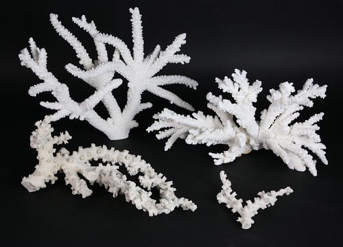 THREE PIECES OF FOSSILIZED WHITE