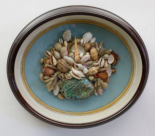 OVAL VICTORIAN FRAMED SHELL DIORAMAOval 37d69e