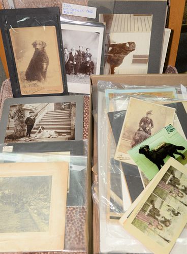 TWO TRAY LOTS OF DOG EPHEMERA PHOTOGRAPHS,