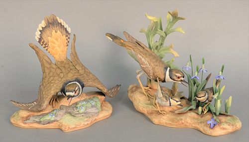 PAIR OF BOEHM KILLDEER PORCELAIN 37b282