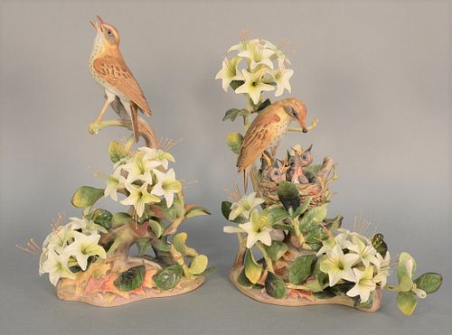 BOEHM PAIR OF WOOD THRUSHES, PORCELAIN