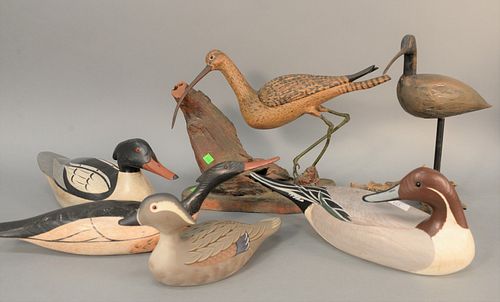 GROUP OF SIX BIRD AND DUCK DECOYS  37b4df