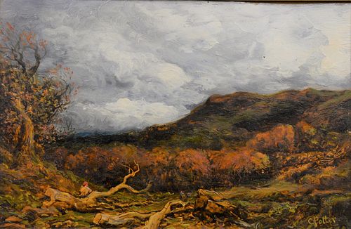 CHARLES POTTER 1878 TIMBER CLEARING 37b4f8
