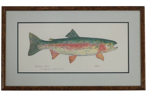 EILEEN KLATT RAINBOW TROUT FRAMED WATERCOLORFeatured