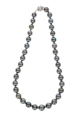 GIA SCARCE BLACK TAHITIAN PEARL