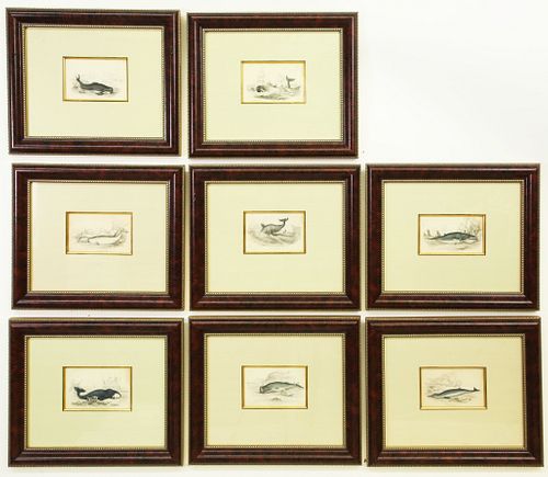 GROUP OF EIGHT WHALE PRINTS FROM 37bd57