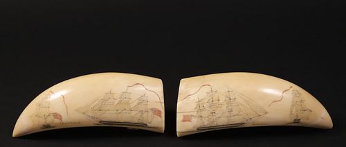 VERY FINE MATCHED PAIR OF SCRIMSHAWED 37be0a