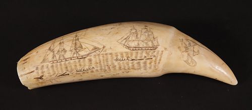 FINE AMERICAN SCRIMSHAWED SPERM