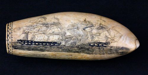 LARGE SCRIMSHAW SPERM WHALE TOOTH  37be1b