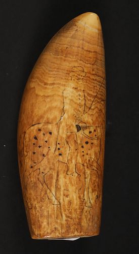 SCRIMSHAW ANTIQUE SPERM WHALE TOOTH  37be8e