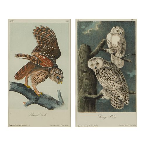 2 AUDUBON OWL PRINTS J T BOWENJ T  37eae1