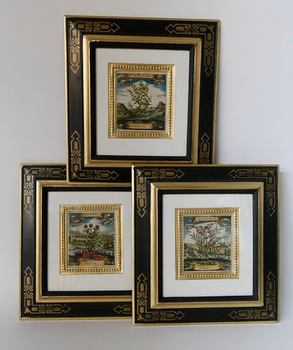 SET OF THREE GERMAN HAND-COLORED FLORAL