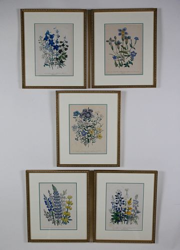 SET OF FIVE 19TH CENTURY ENGLISH