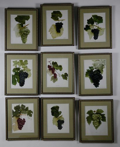 SET OF NINE VINTAGE FRAMED GRAPES 37ef7a