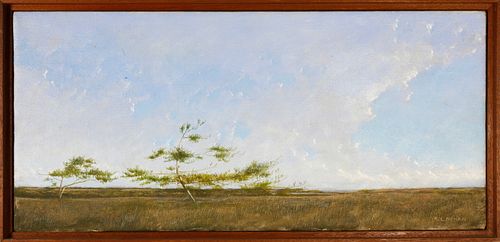 KENNETH LAYMAN OIL ON CANVAS MADAKET 37f085