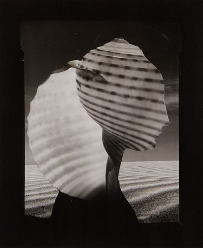 RUTH THORNE-THOMSEN "SHELL HEAD"