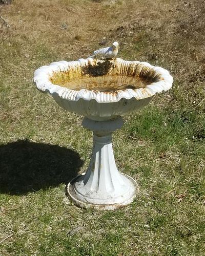 WHITE PAINTED CAST IRON BIRD BATH WITH