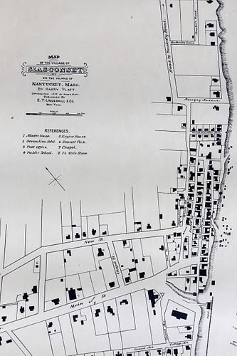 SCARCE 1888 MAP OF THE VILLAGE 37f67b