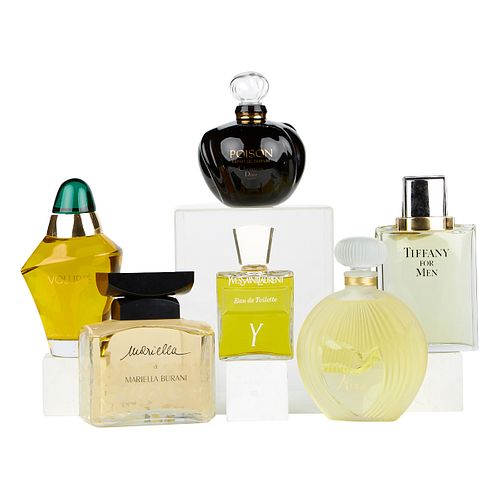 GRP: 6 OVERSIZED LUXURY PERFUME