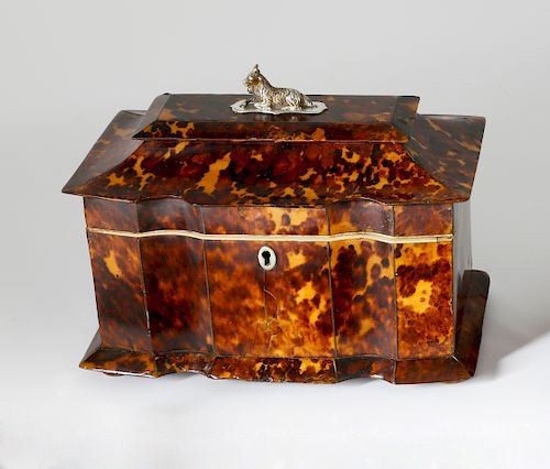 REGENCY TORTOISESHELL DOUBLE COMPARTMENT