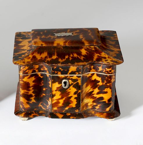 REGENCY TORTOISESHELL DOUBLE COMPARTMENT