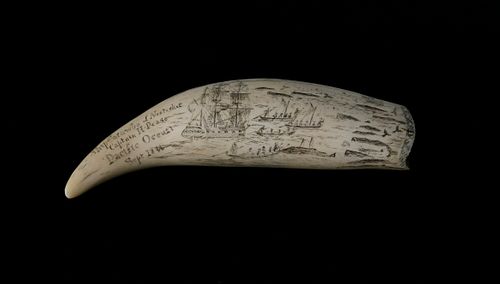 CAPTAIN H PEASE NANTUCKET SCRIMSHAW 37dec7