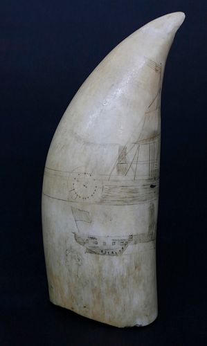 ANTIQUE AMERICAN SCRIMSHAW WHALE TOOTH,