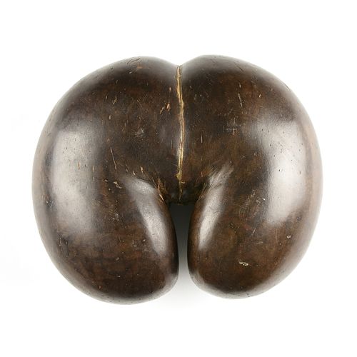 A POLISHED COCO DE MER FERTILITY NUT,