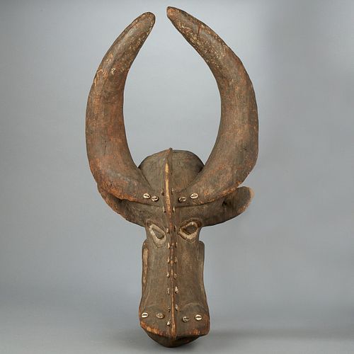 AFRICAN WATER BUFFALO MASK WITH