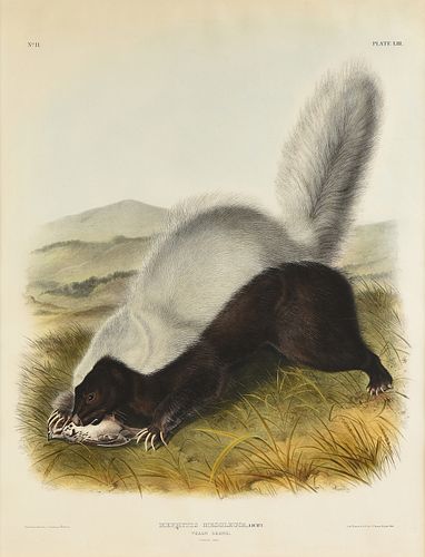 JOHN JAMES AUDUBON (AMERICAN 1785-1851)