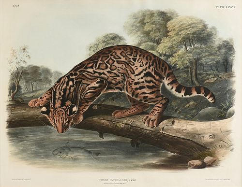 JOHN WOODHOUSE AUDUBON   3814d7