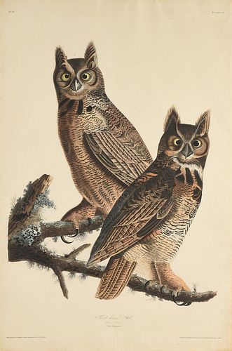 JOHN JAMES AUDUBON AMERICAN 1785 1581  381841