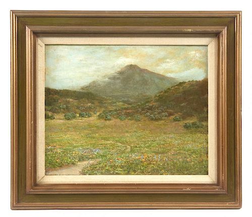 GALE YOUNGER PAINTING, MARIN COUNTY