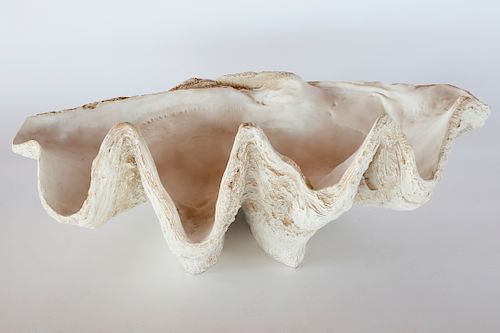 COMPOSITE DEEP SEA CLAM SHELLComposite