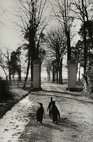 WILLY RONIS FRENCH 1910 2009  380e8d
