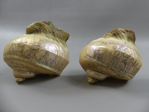 PAIR SCRIMSHAW CONCH SHELLS SHIP 38370b