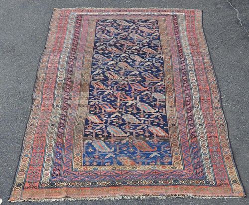 MALAYER RUGMalayer rug Pile wear  38382e