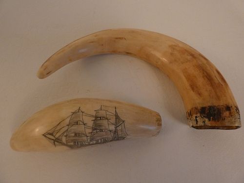 LOT 2 TEETH: WHALE & BOARIncludes a